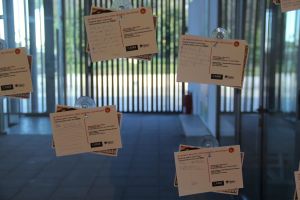 gallery\IMG_9318